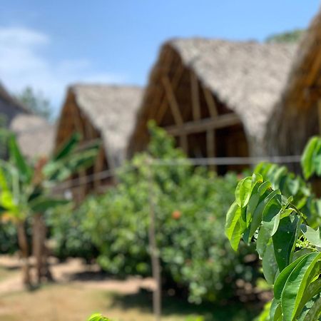 Hostal La Finquita Palomino Zewnętrze zdjęcie