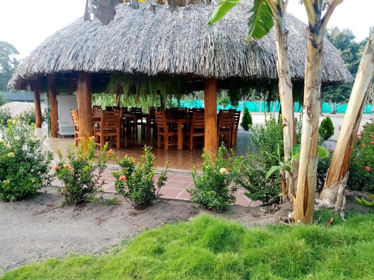 Hostal La Finquita Palomino Zewnętrze zdjęcie